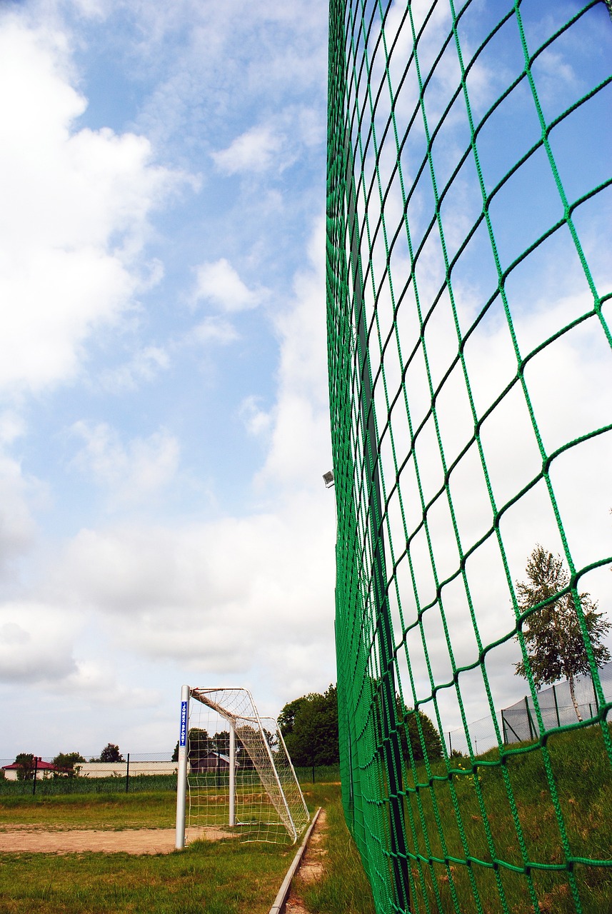 下来的每一 下来的每一