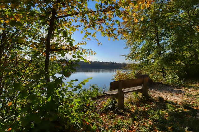 这无疑值得 这无疑值得