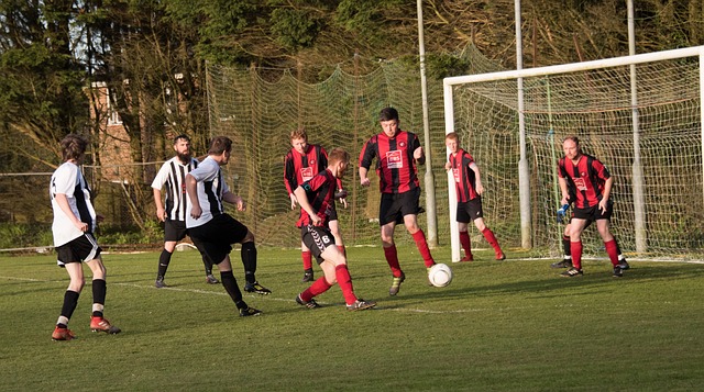 近期他副业 近期他副业